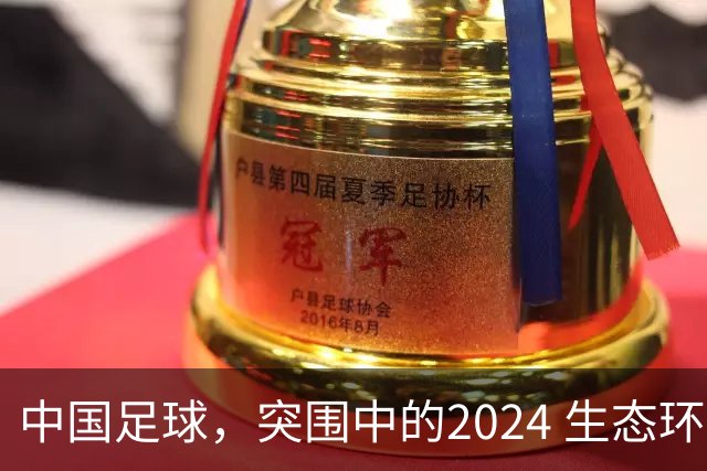 中国足球，突围中的2024 生态环境将实现好转