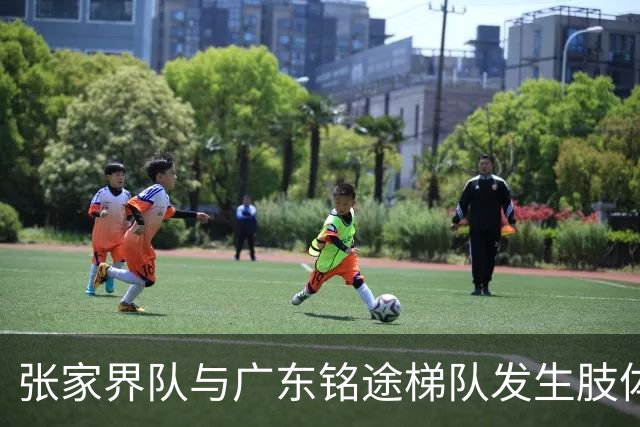 张家界队与广东铭途梯队发生肢体冲突，湖南省足协：暂停涉事人员参加省内一切足球活动